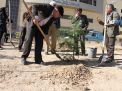 گزارش تصویری مراسم روز درخت کاری و تقدیر از نیروهای باغبانی دانشگاه